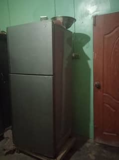 Large size fridge