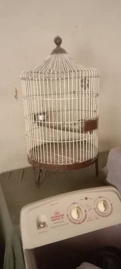 cage for sale Ring Neck, Raw, Grey parrot kelie