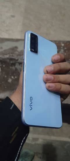 vivo