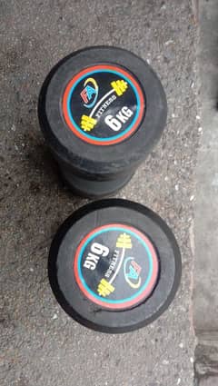 6kg dumbbells pair