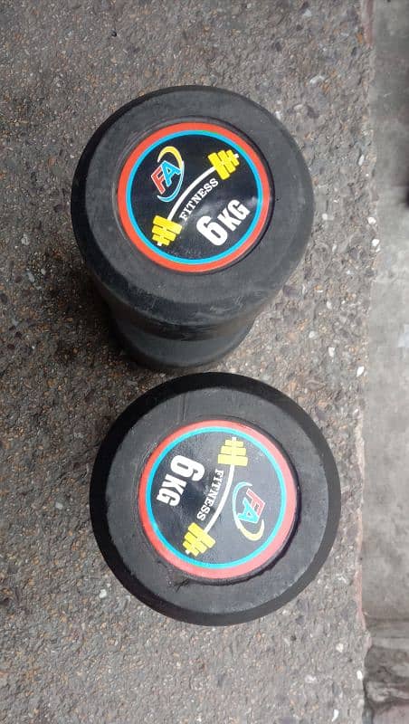 6kg dumbbells pair 0