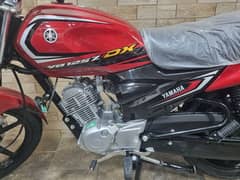 Yamaha YB-125 Z DX Applied 2025/300km use