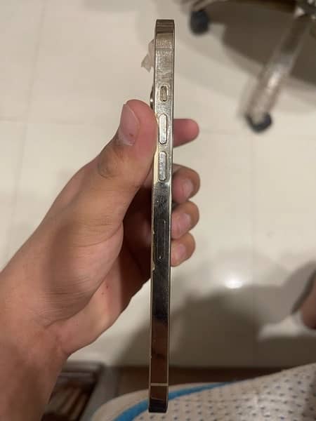 iPhone 12 Pro Max back broken , 1