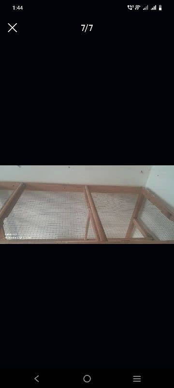 cage and birds for sale 7