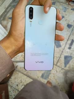 vivo