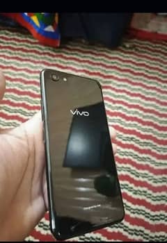 vivo