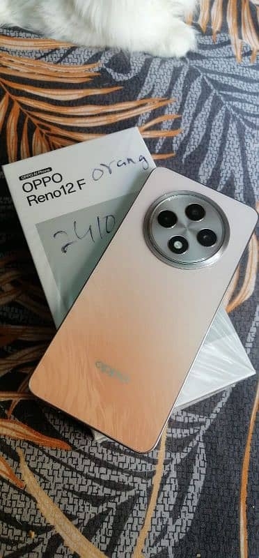 Oppo Reno 12f All ok 10 by 10 10Month warrenty me hy 4