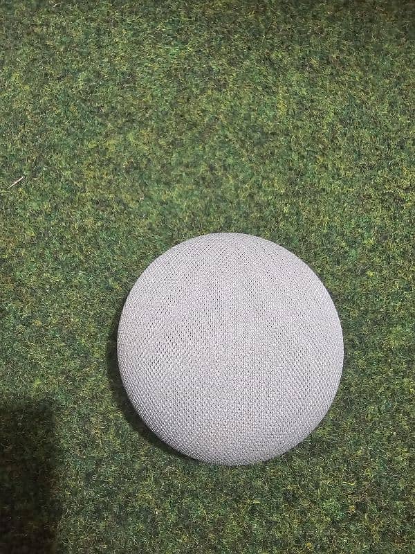 Google Home mini. 1