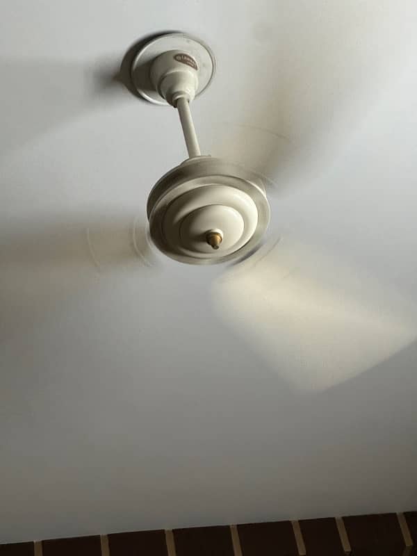 very good condition ceiling fan 2 seasson used 1