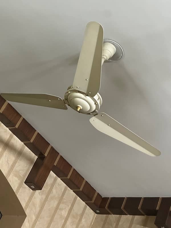 very good condition ceiling fan 2 seasson used 2