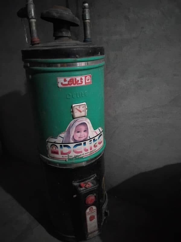 Delight Gas geyser for sale 3