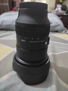 sigma 24 70 (2.8) DG dn art lense