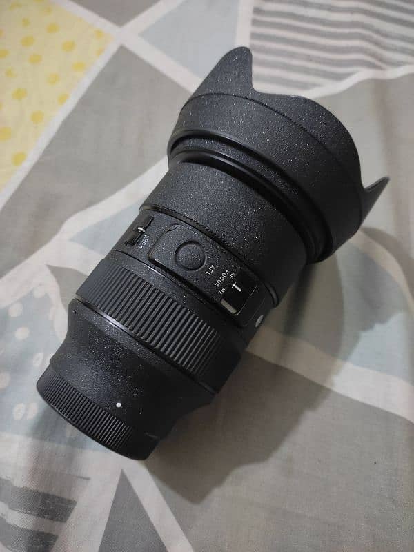 sigma 24 70 (2.8) DG dn art lense 1