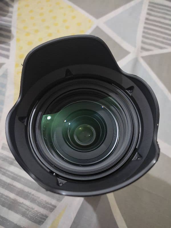 sigma 24 70 (2.8) DG dn art lense 2