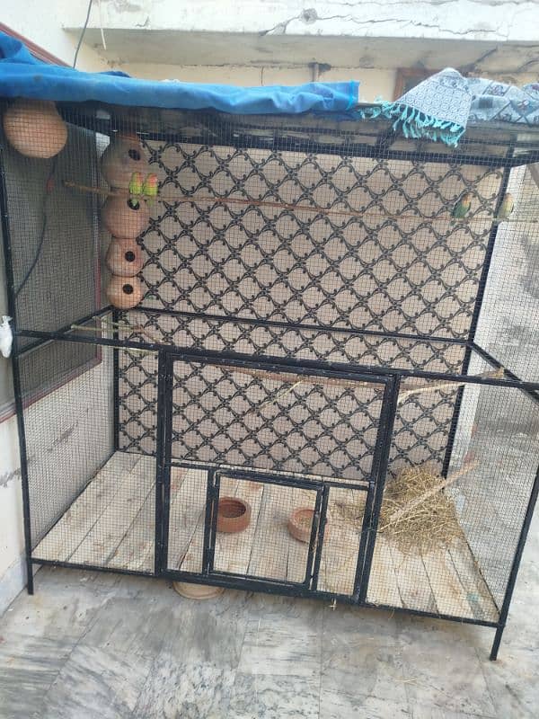 Bird Cage 1