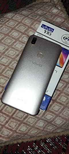 vivo