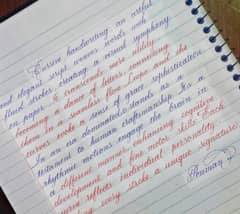 handwriting assignment work