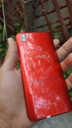 vivo