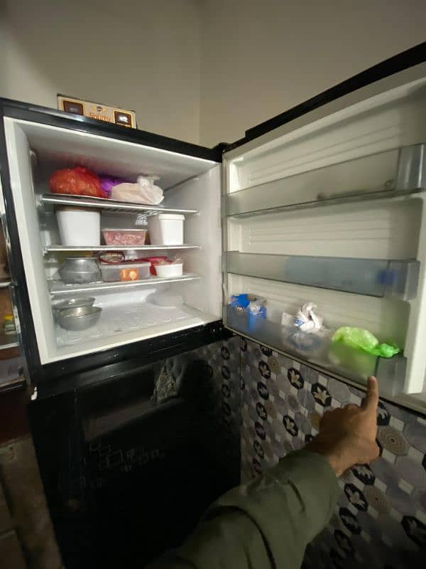 PEL Glass door, Full size fridge/refrigerator 3