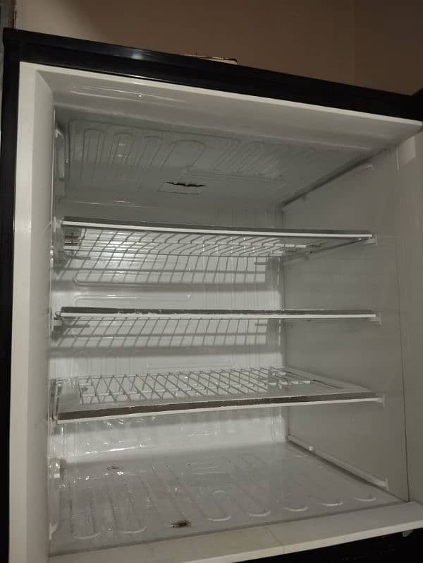 PEL Glass door, Full size fridge/refrigerator 5