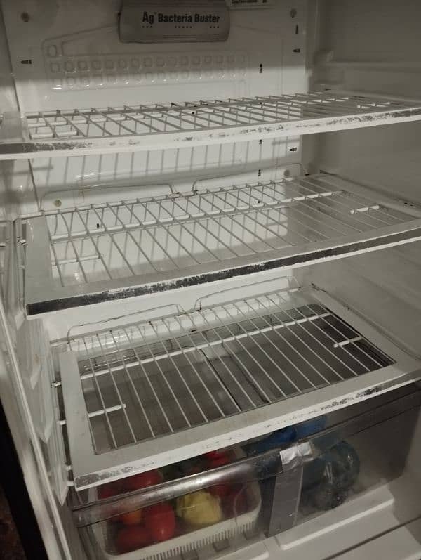 PEL Glass door, Full size fridge/refrigerator 8