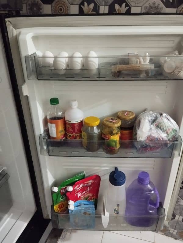 PEL Glass door, Full size fridge/refrigerator 9