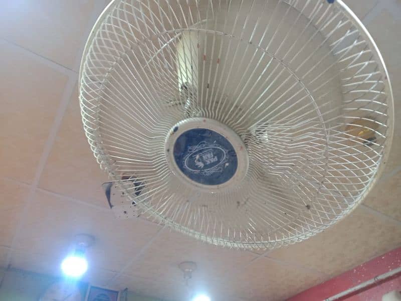 company name Park fan 0