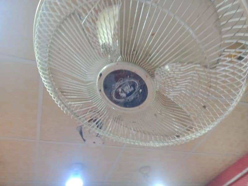 company name Park fan 1