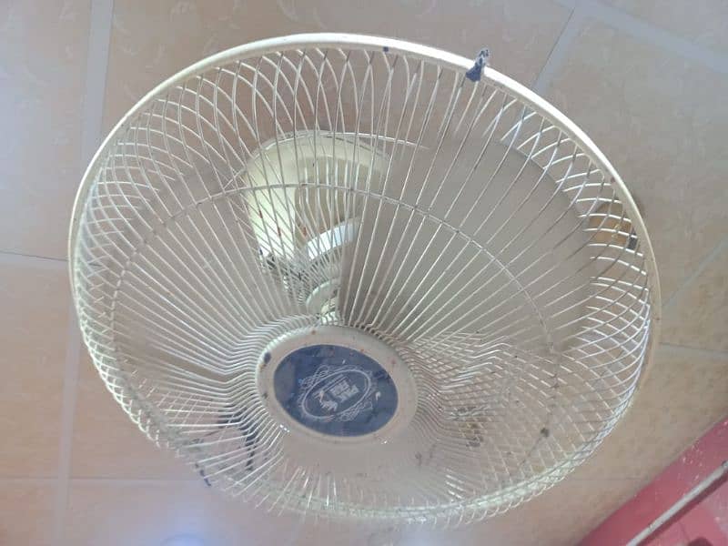 company name Park fan 2