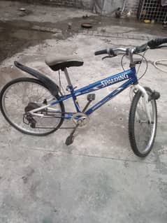 imported bicycle