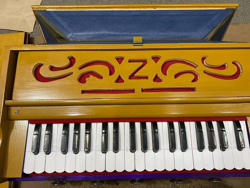 Pakistani harmonium Indian 3