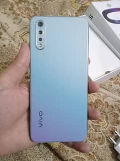 vivo