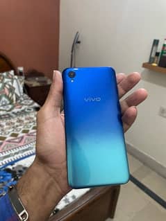 vivo