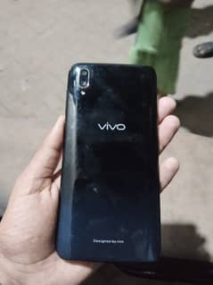 vivo