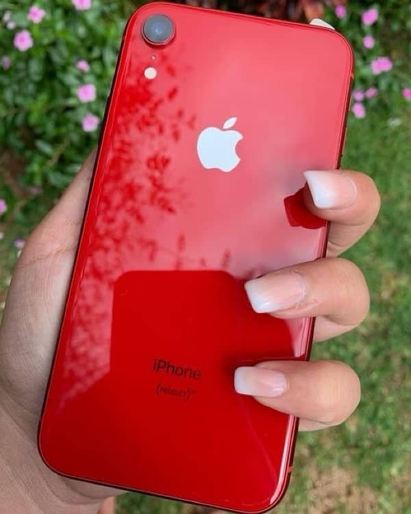 IPHONE XR ALL OK 10/10 NON PTA 0