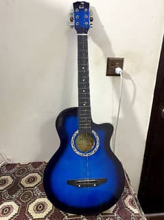 acoustic guitar