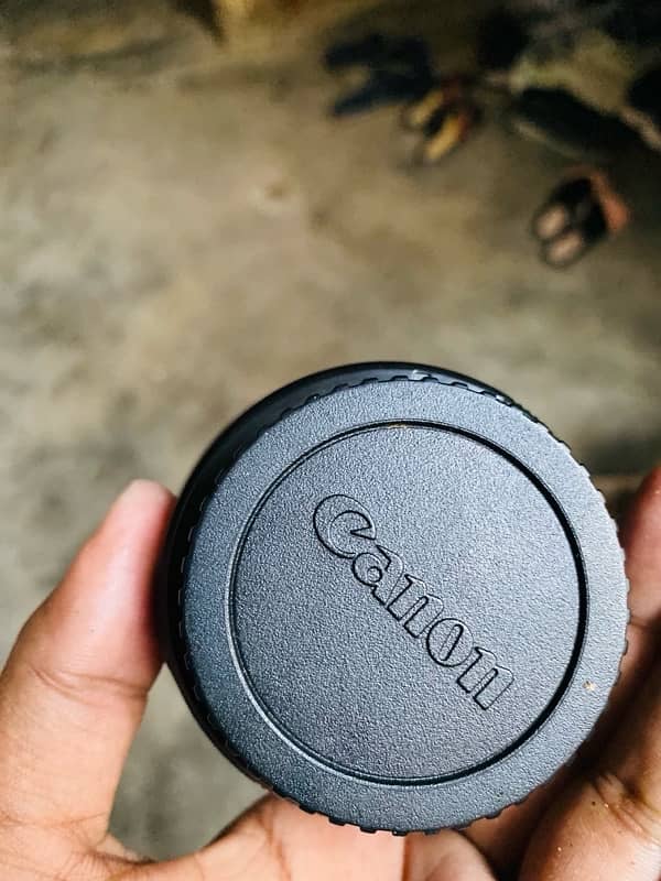 Canon 50mm 1.8 STM LENSE 2