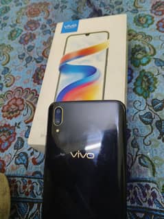 vivo