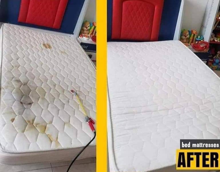 Professional Water Tank Cleaning & Sofa Carpet Rugs Cleaning and Dry 8