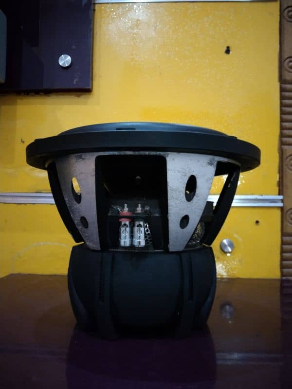 available spl subwoofer bual voice coil  03012363000 0