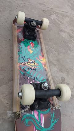 Skate board