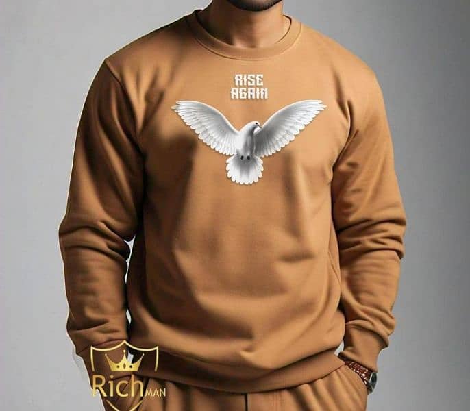 Men's sweatshirts 0