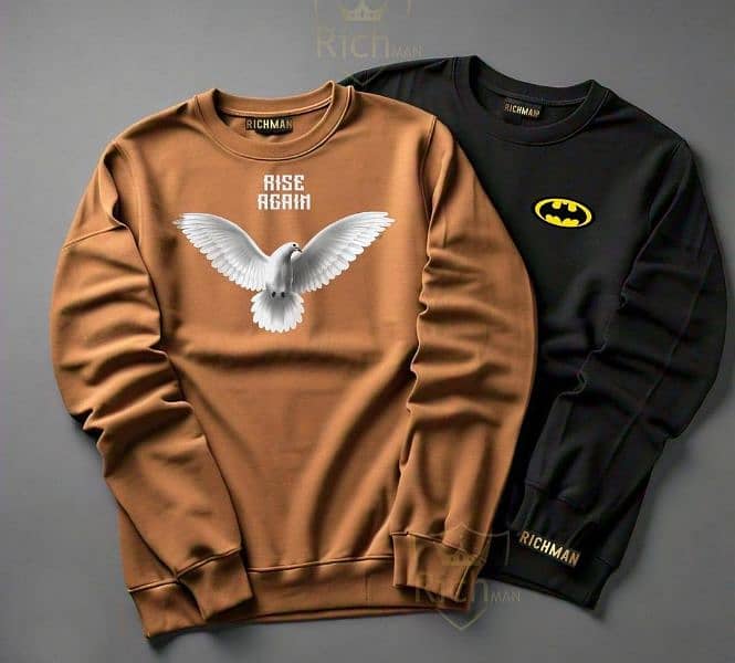 Men's sweatshirts 2