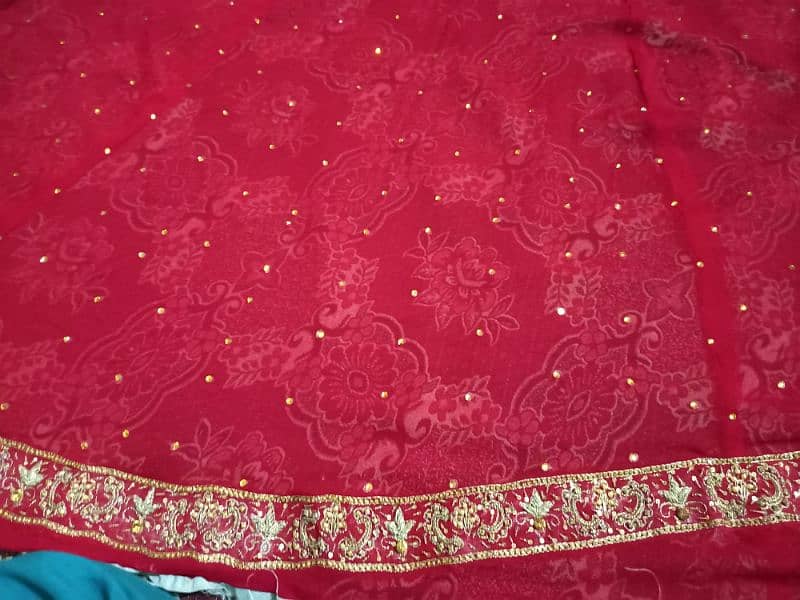 Bridals Lehnga 10