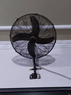 FAN