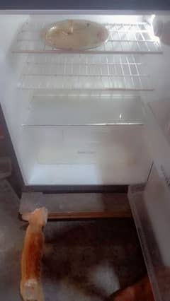 fridge