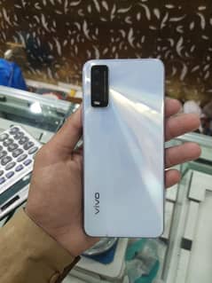 vivo