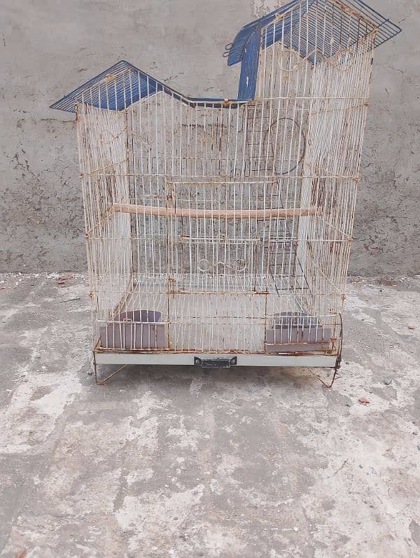 Birds cage 0