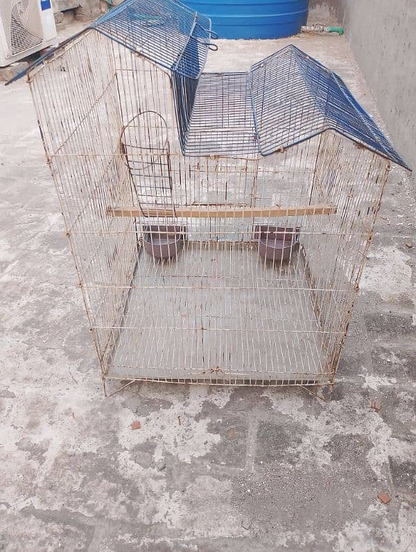 Birds cage 1