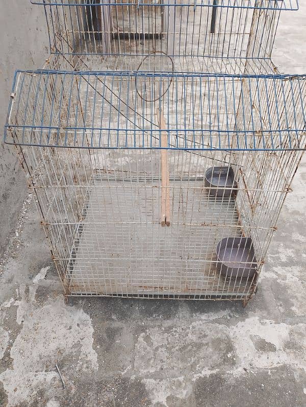 Birds cage 2